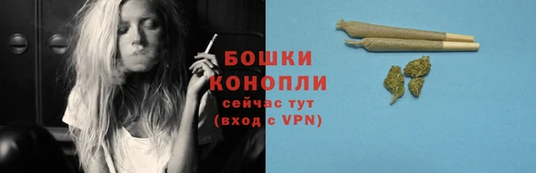 трава Армянск